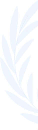 section-shape1